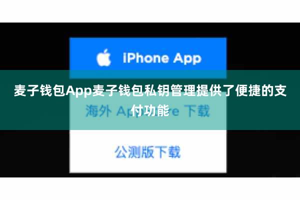 麦子钱包App麦子钱包私钥管理提供了便捷的支付功能