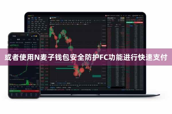 或者使用N麦子钱包安全防护FC功能进行快速支付