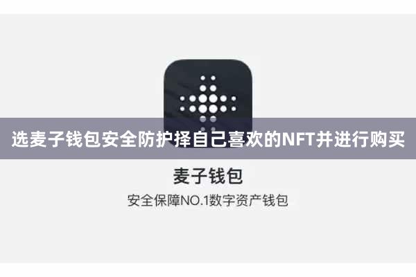 选麦子钱包安全防护择自己喜欢的NFT并进行购买