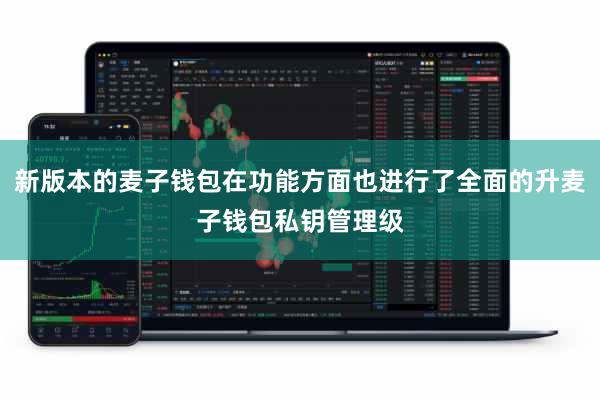 新版本的麦子钱包在功能方面也进行了全面的升麦子钱包私钥管理级