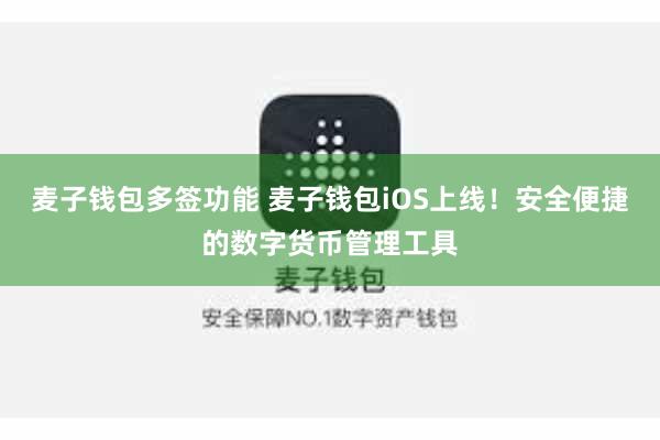 麦子钱包多签功能 麦子钱包iOS上线！安全便捷的数字货币管理工具