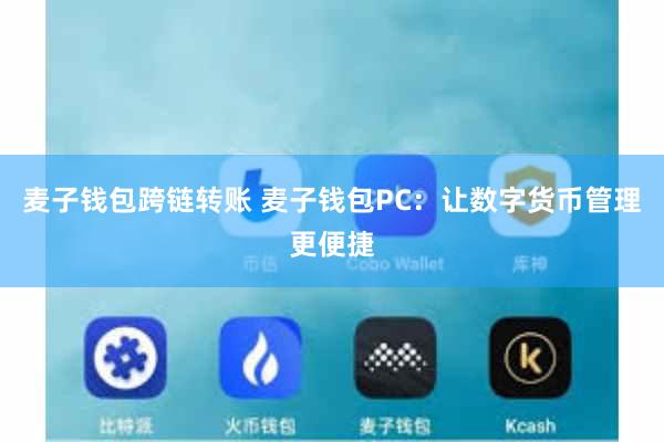 麦子钱包跨链转账 麦子钱包PC：让数字货币管理更便捷