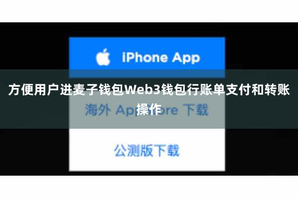 方便用户进麦子钱包Web3钱包行账单支付和转账操作
