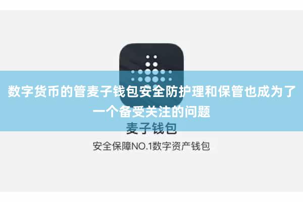数字货币的管麦子钱包安全防护理和保管也成为了一个备受关注的问题