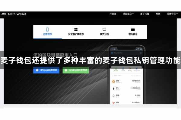 麦子钱包还提供了多种丰富的麦子钱包私钥管理功能