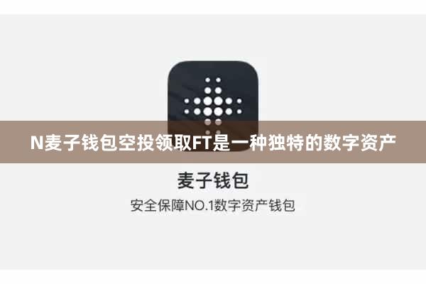 N麦子钱包空投领取FT是一种独特的数字资产