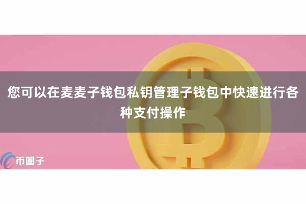 您可以在麦麦子钱包私钥管理子钱包中快速进行各种支付操作