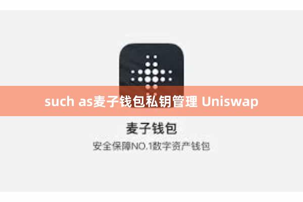 such as麦子钱包私钥管理 Uniswap