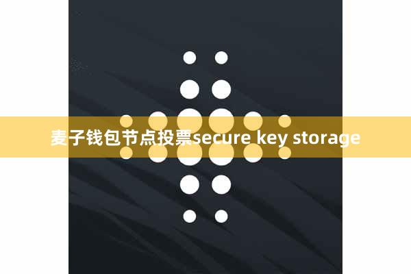 麦子钱包节点投票secure key storage