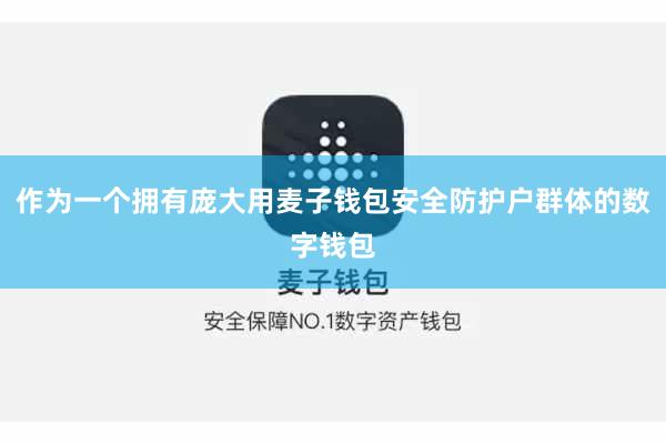 作为一个拥有庞大用麦子钱包安全防护户群体的数字钱包