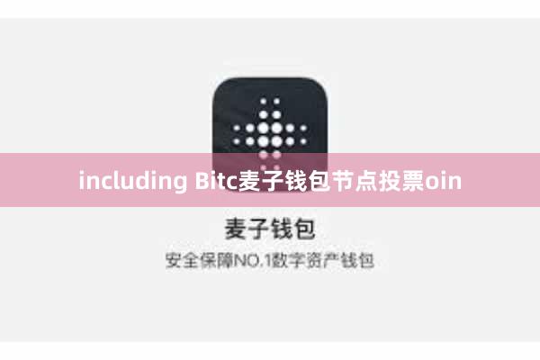 including Bitc麦子钱包节点投票oin