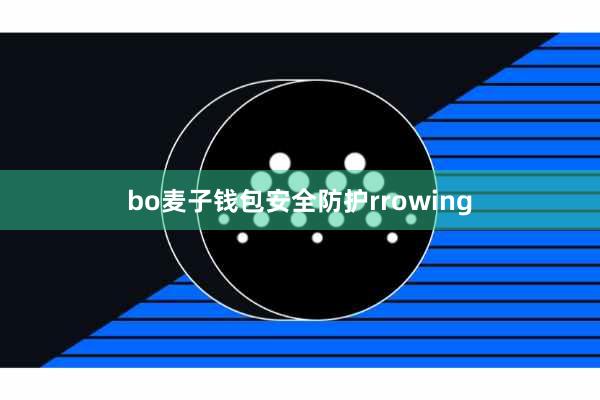 bo麦子钱包安全防护rrowing