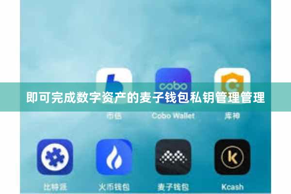 即可完成数字资产的麦子钱包私钥管理管理