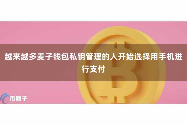 越来越多麦子钱包私钥管理的人开始选择用手机进行支付
