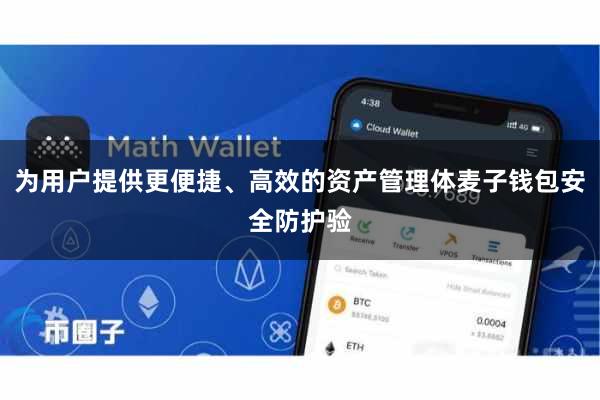 为用户提供更便捷、高效的资产管理体麦子钱包安全防护验