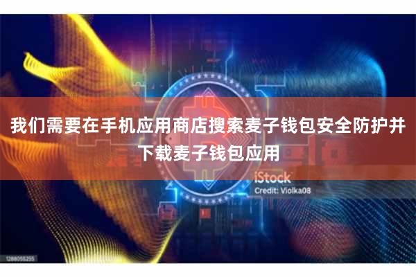 我们需要在手机应用商店搜索麦子钱包安全防护并下载麦子钱包应用