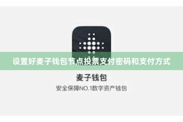设置好麦子钱包节点投票支付密码和支付方式