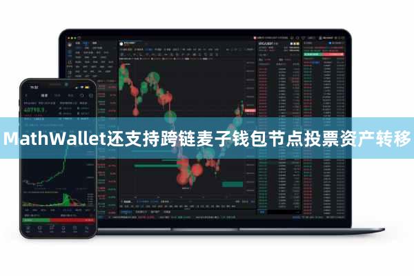 MathWallet还支持跨链麦子钱包节点投票资产转移